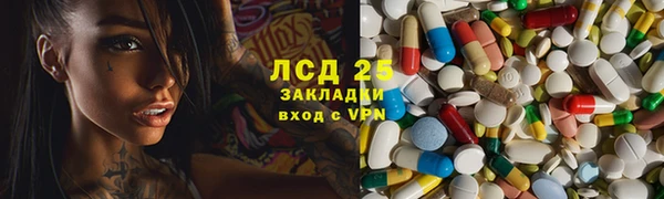 ГАЛЛЮЦИНОГЕННЫЕ ГРИБЫ Няндома