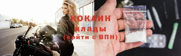 ГАЛЛЮЦИНОГЕННЫЕ ГРИБЫ Няндома