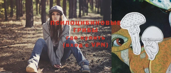 ГАЛЛЮЦИНОГЕННЫЕ ГРИБЫ Няндома