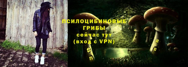 ГАЛЛЮЦИНОГЕННЫЕ ГРИБЫ Няндома