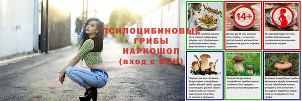крисы Нязепетровск