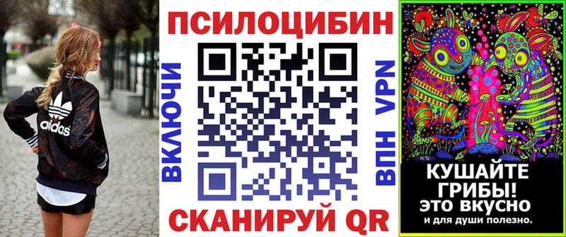 kraken рабочий сайт  купить наркотик  Купино  Псилоцибиновые грибы GOLDEN TEACHER 